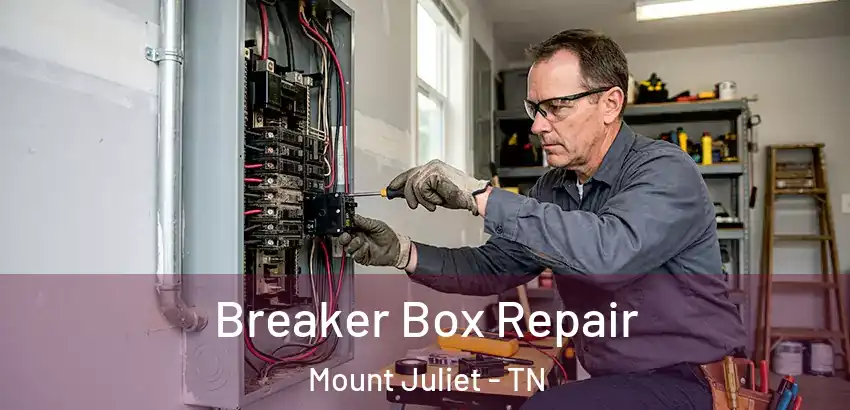 Breaker Box Repair Mount Juliet - TN