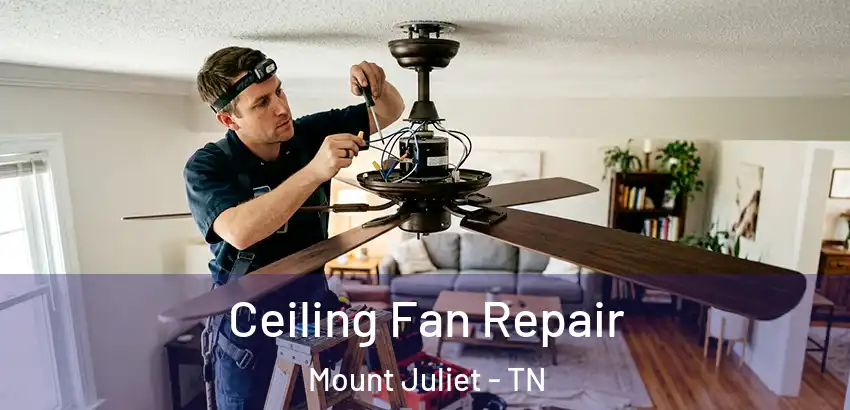 Ceiling Fan Repair Mount Juliet - TN