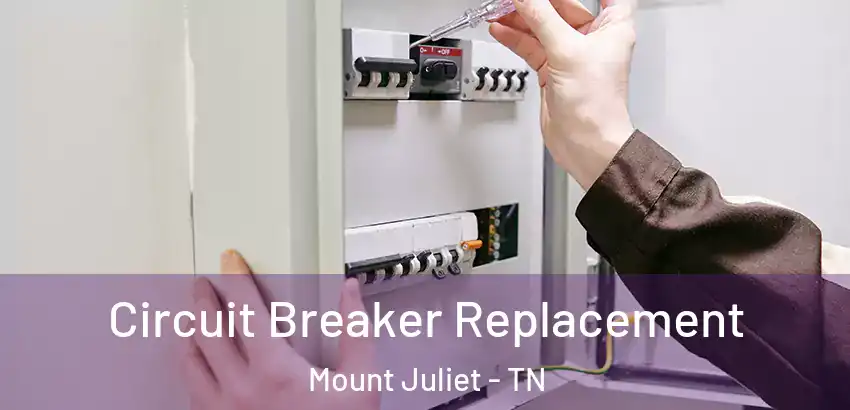 Circuit Breaker Replacement Mount Juliet - TN