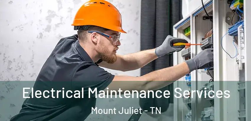 Electrical Maintenance Services Mount Juliet - TN