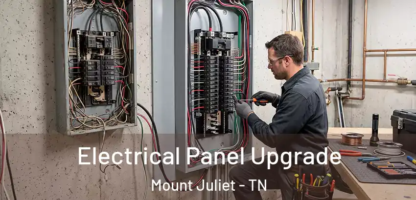  Electrical Panel Upgrade Mount Juliet - TN