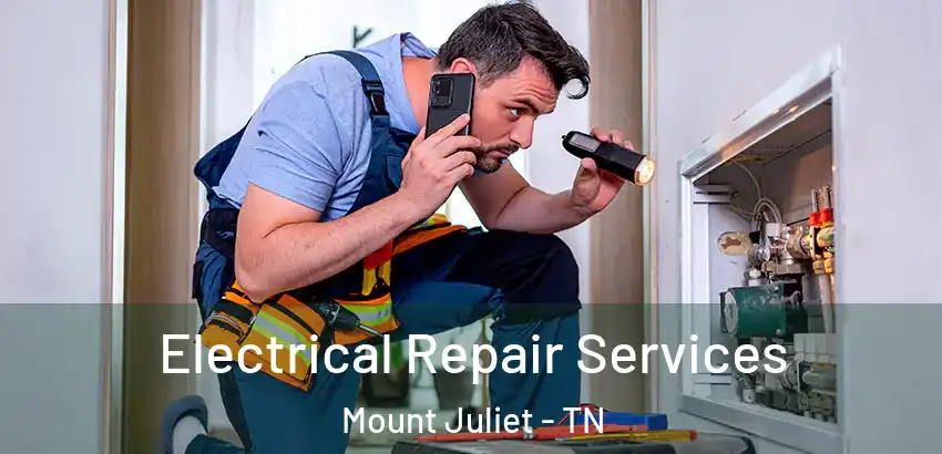 Electrical Repair Services Mount Juliet - TN