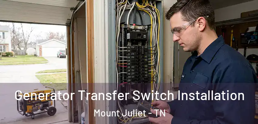  Generator Transfer Switch Installation Mount Juliet - TN