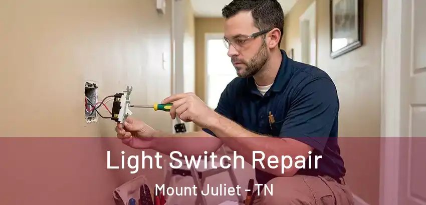 Light Switch Repair Mount Juliet - TN
