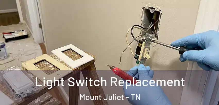 Light Switch Replacement Mount Juliet - TN