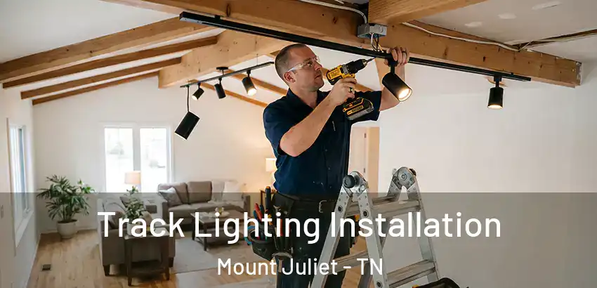 Track Lighting Installation Mount Juliet - TN