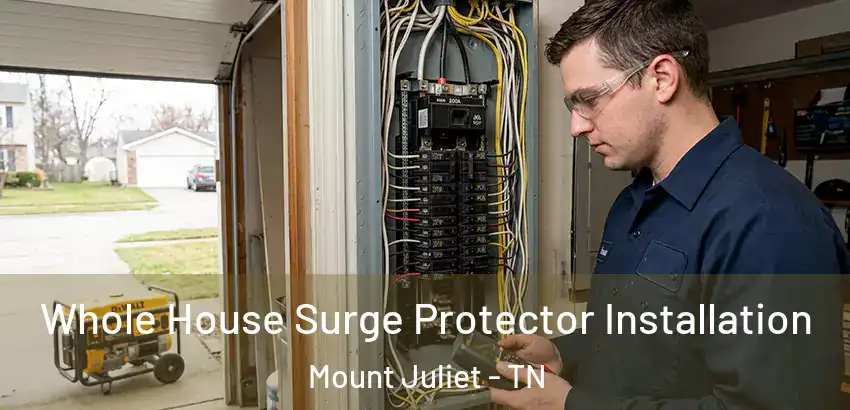  Whole House Surge Protector Installation Mount Juliet - TN
